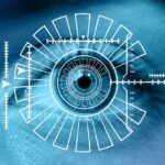 eye, iris, biometrics