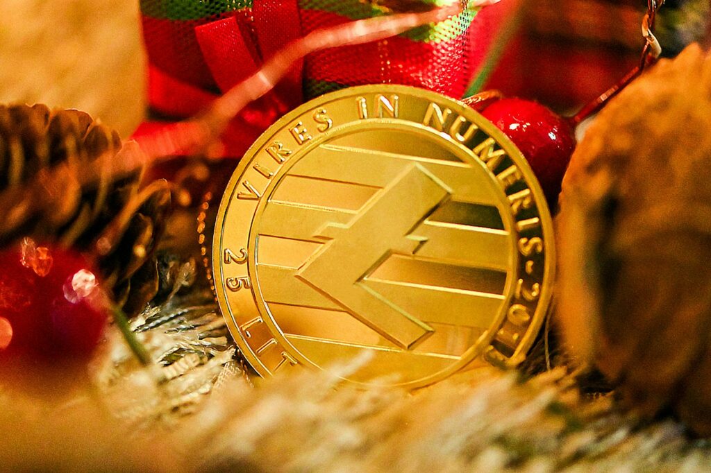 a gold coin sitting on top of a pile of pine cones