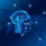 transformation, web, brain, network, city, skyline, computer, digital, www, computer science, transfer, bits, data, networking, communication, connection, blockchain, brain, brain, brain, brain, brain