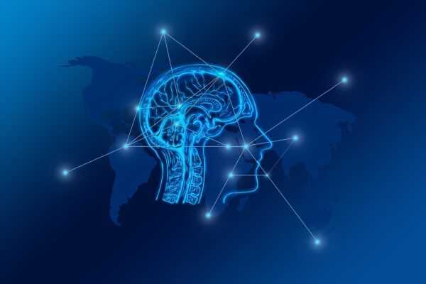 transformation, web, brain, network, city, skyline, computer, digital, www, computer science, transfer, bits, data, networking, communication, connection, blockchain, brain, brain, brain, brain, brain